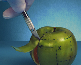 网站攻击工具手机版